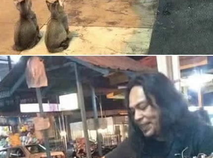 MIAW koncert vyzerá aj takto :D