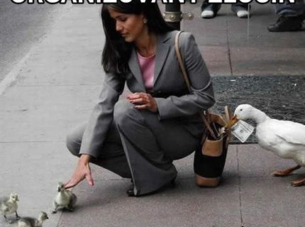 ZOO Organizovaný zločin v ulici mesta :D