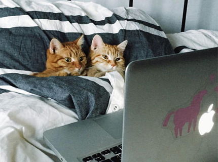 Jeeej :) milovnícki mačičiek musíte vidieť! :)