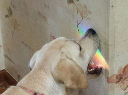 Napoj duhu..ochutnaj duhu :D:D:D