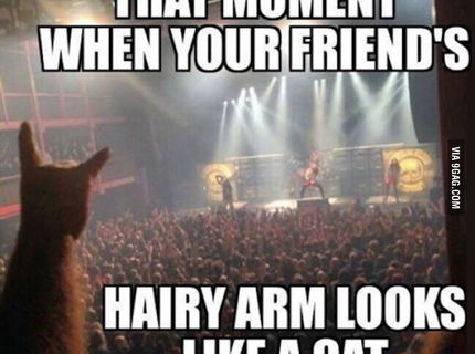 Ked chlpatá ruka vyzera ako mačka :D