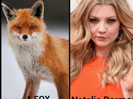 Hmmm...uz vieme na koho sa podoba tato kraska! :)