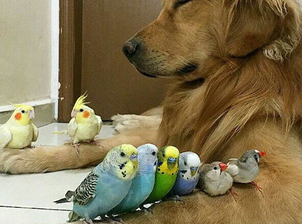 Joooooj toto je aky relax :D