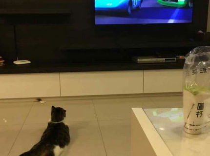 Pohodicka lajk & share! :D