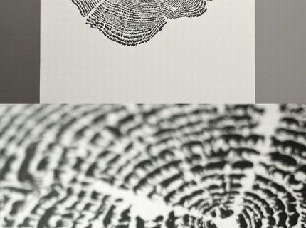 Krásna myšlienka, ktorá si získala na internete obdiv :)