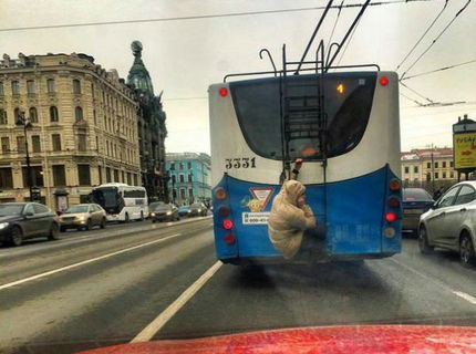 Nemáš na cestovné ?:D