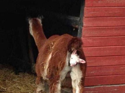 Nikdy nepodcenuj silu svojho prdu :D