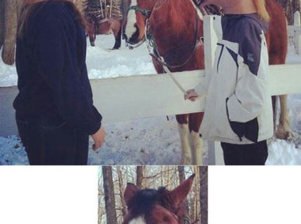 Keď už su veci trápne.. :D Tento koník to iba potvrdzuje :D