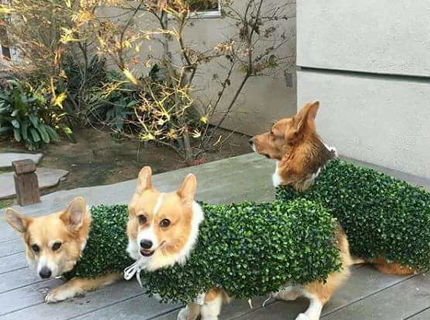 Bozeee...toto je akéé podarené :D