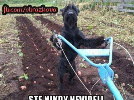 Tak toto sa len tak nevidí :D Ježíííš to je podarené :D