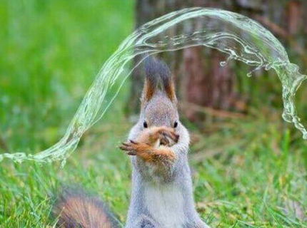 Dá sa voda ohýbať? :D Áno :D