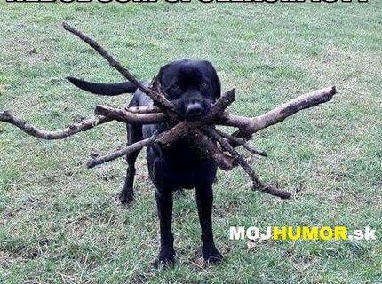 Len pre psíčkarov :D