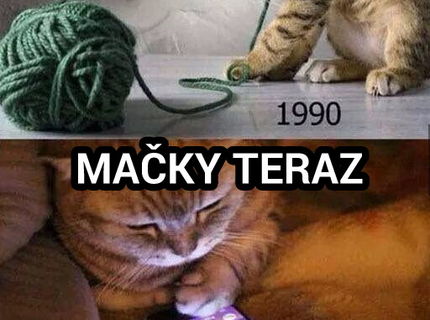Mačky vtedy a teraz :D toto je haluz :D