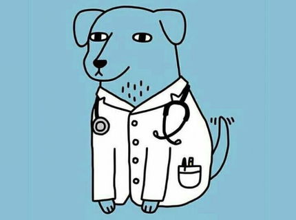 Viete kto je Dogtor :D