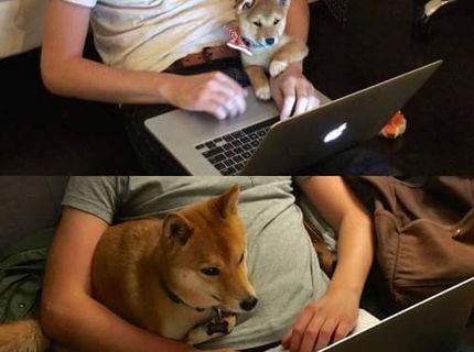 Niektoré veci sa nemenia, to platí aj v prípade tohto rozkošného psíka a jeho majiteľa :)