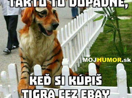 Celéééé zle :D To je rozkošný psík :D