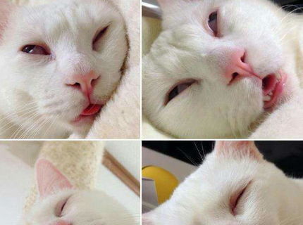 Ten moment, ked sa ti fakt ze uz nevladzes..aleee.. :D