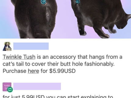 Co uz ludia nevymyslia! Kupili by ste toto vasej macke????