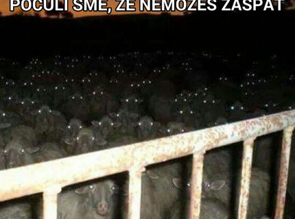 Ak sa ti nedá zaspať...tak si pozri toto:D