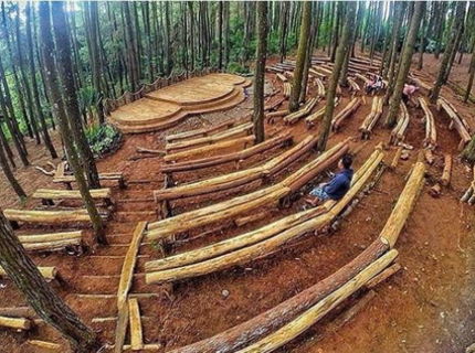 Toto je krása! Vedeli by ste si to predstaviť vo vašom lese?:D