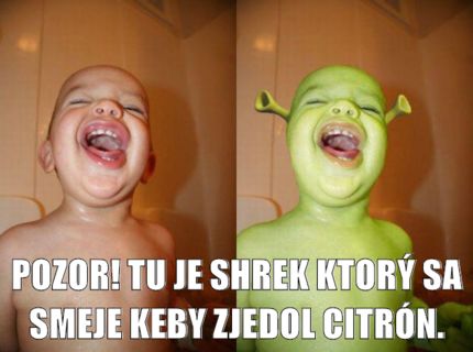 shrek by rixino