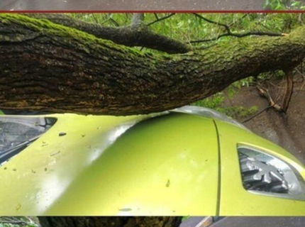 Fuuuu! Tak toto bolo len o kúsok! Pozri si ako padol strom na auto... :D