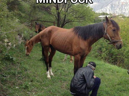 Mindfuk ala kon :D