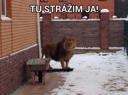 Uuuuppss... no neviem čo by som robil, keby som videl toto :D