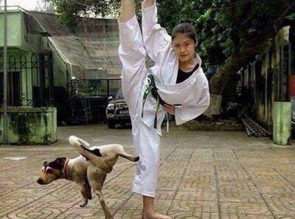Karate dog! Failik ako svet :D