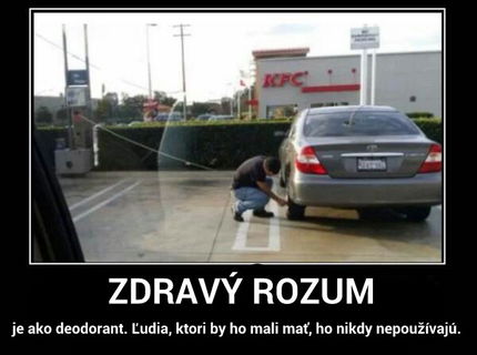 Zdravý rozum... chýba :D