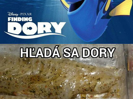 Hľadá sa Dory, už sa našla :D