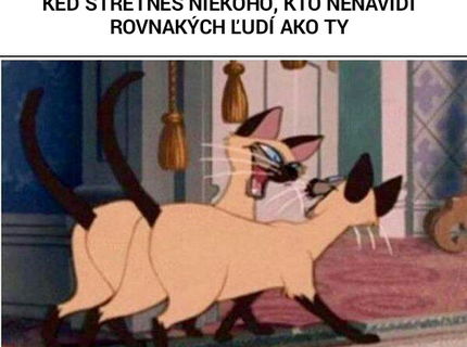 Ten moment, keď stretneš niekeho, kto ti sadne :D