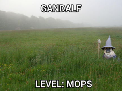 LooooL toto je aké podarené :D
