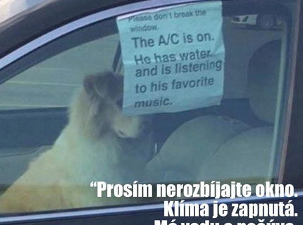 Leto.. pre všetkých psíčkarov :D