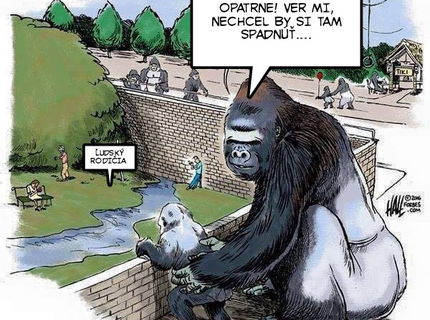 Výstižný komix na drámu v ZOO