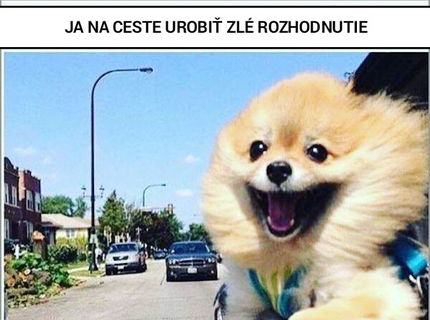 Poznáte ten pocit... keď viete, že sa chystáte urobiť niečo zlé...ale aj tak :D