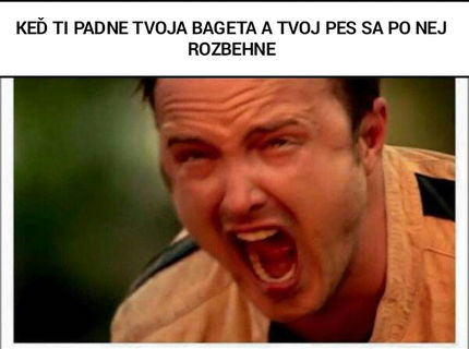 Chováš psíka? :D Je ti toto známe??:D