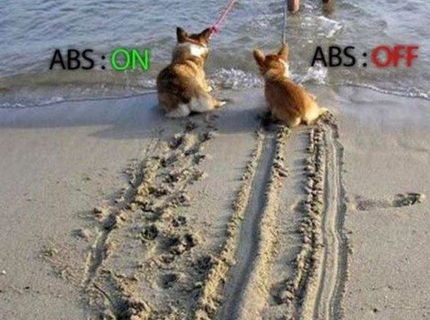 Keď psi používajú ABS :D