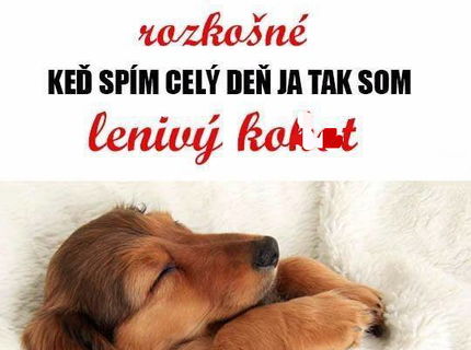 Toto pozná asi každý chlap.. chalani ako ste na tom vy???