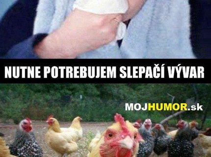 Jeseň a choroby sú tu. Ak si chorý tak si daj vývar.. ale čo na to sliepky?:D
