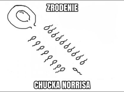 Takto sa zrodil Chuck Norris