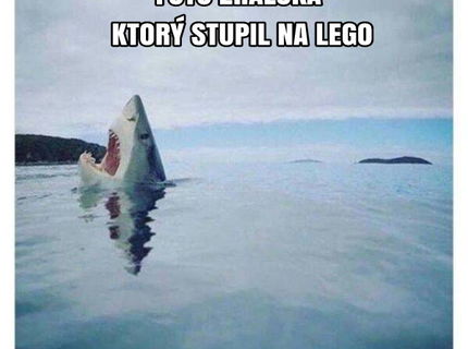 Fotka žraloka, ktorý stupil na lego :D