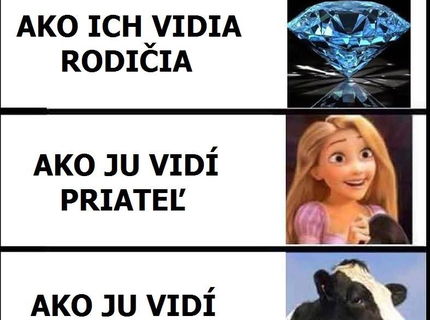 Dievčatá, ako ich vidí moje okolie :D