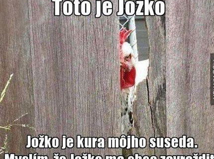 Poznáte Jožka? Naj-akčnejšieho kohúta na internete :D