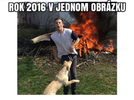 Rok 2016 v jednej foto)! :D