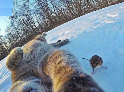 Selfie s raňajkami :D Máš aj ty originálne selfie s raňajkami? Tak pošli! :D