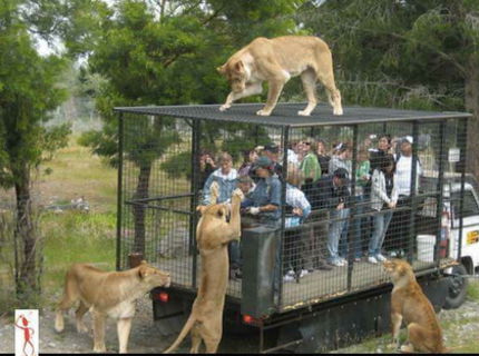 Toto je poriadna ZOO! Trúfli by ste sem ísť??