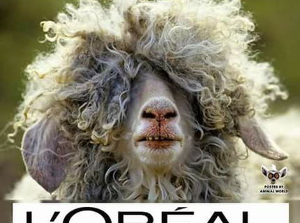 Loreal z pasienok :D