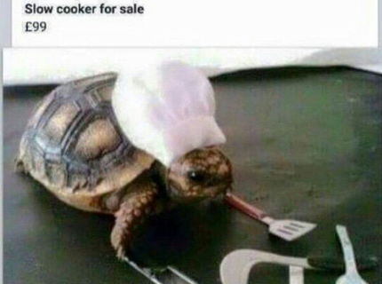 SLOW cooker na predkaj! Máte záujem?D