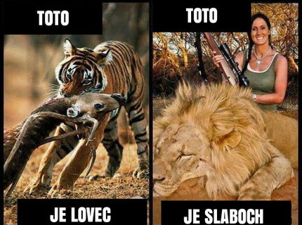 Lovec Vs slaboch